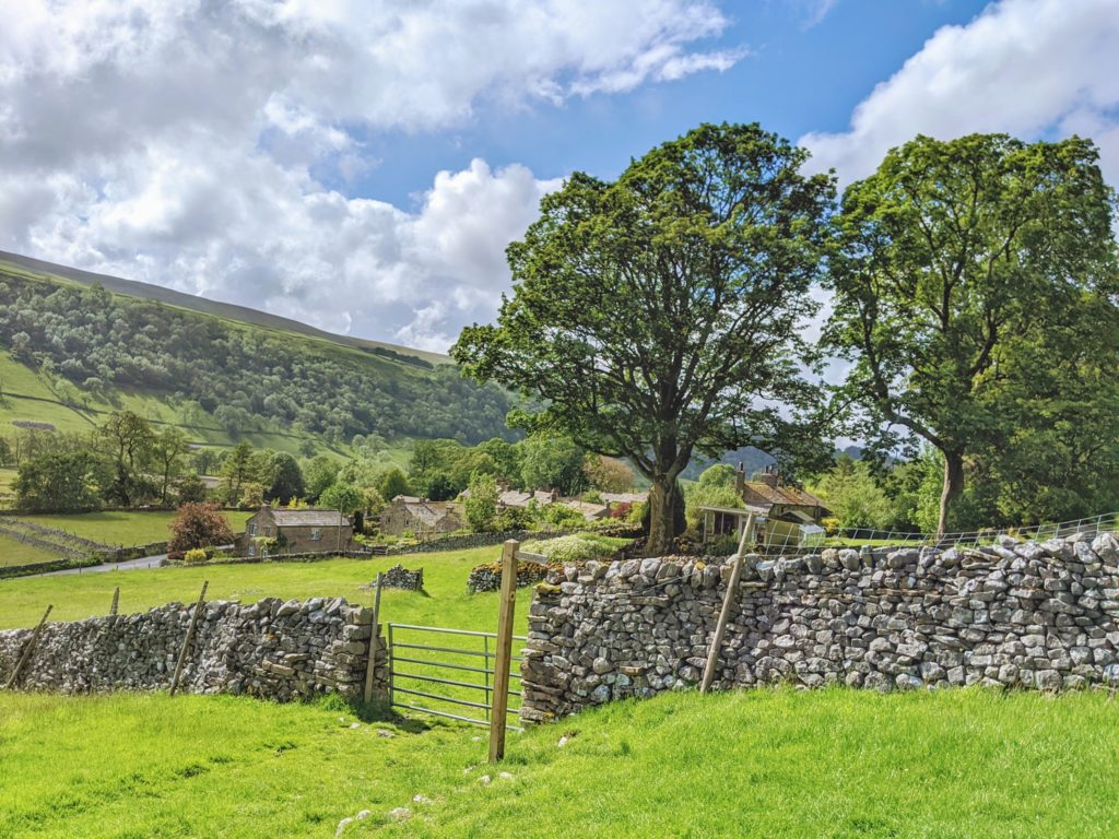 Dales view